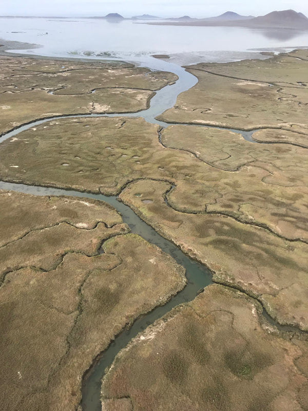 Flying above the waterways at San Quintin.  
